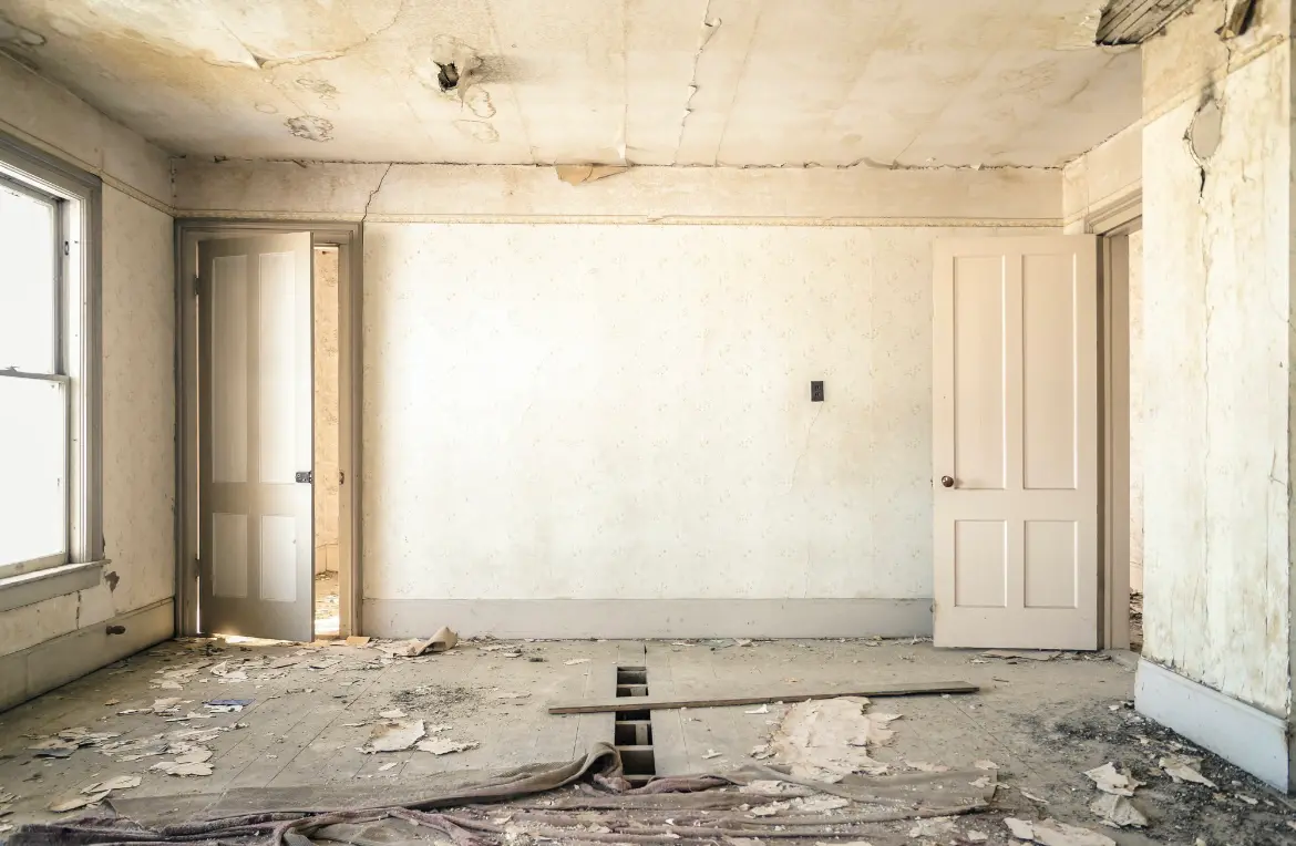 Waste disposal crew managing a cleanout project in Wilson's Mills